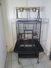 Volière pour oiseau, grande