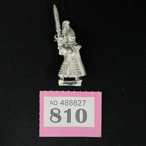 Haut elfes swordmaster - elfes, de