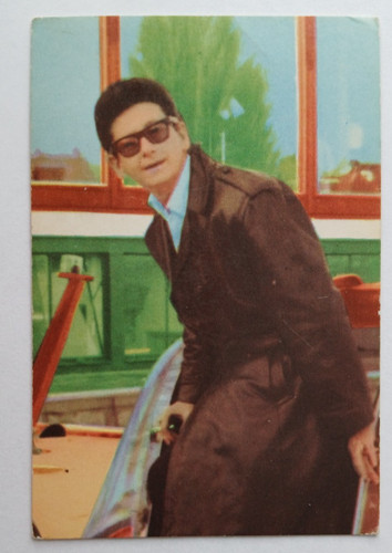 Roy orbison carte maple - roy,