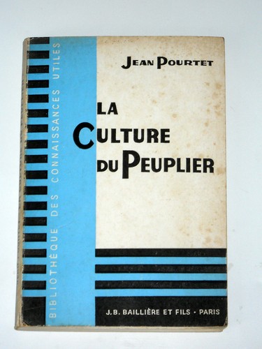 Culture peuplier arbres - culture,