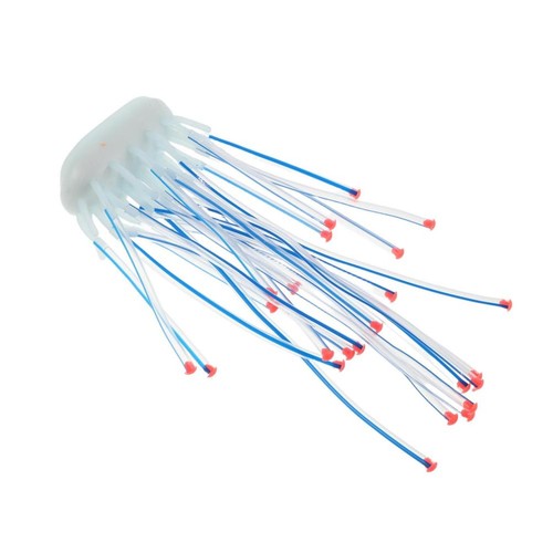 Accessoires pour aquarium - accessoires,