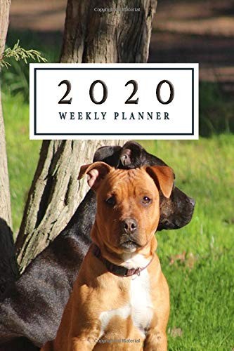 2020 weekly planner staffie - weekly,