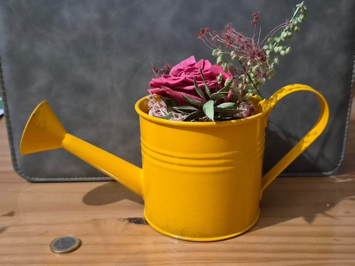 Mini arrosoir jaune - , déco