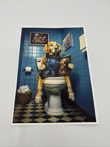 Affiche chien golden retriever - golden,