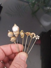 Epingle Pic A Chapeau Pierre