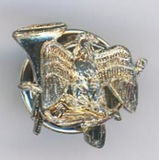 24th GCM Pin's Fighter Battalion