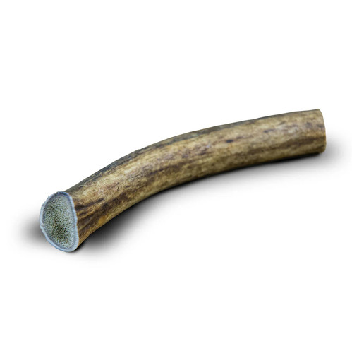 Bois cerfs entier - s,