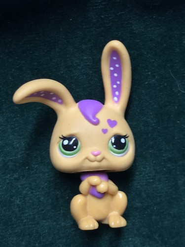 Petshop rabbit - petshop,