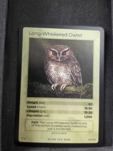 Life tcg birds - tcg,