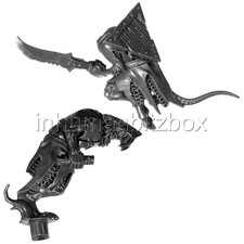 RAZK76 GUERRIER DES CLANS