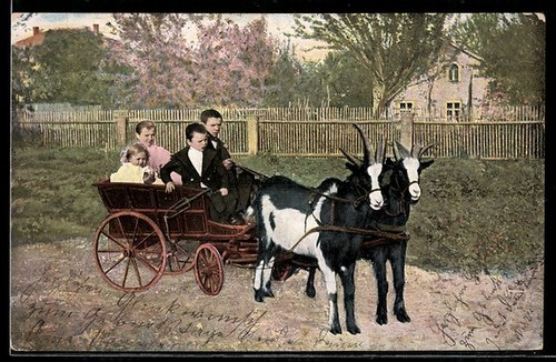 Carte postale attelage - , de