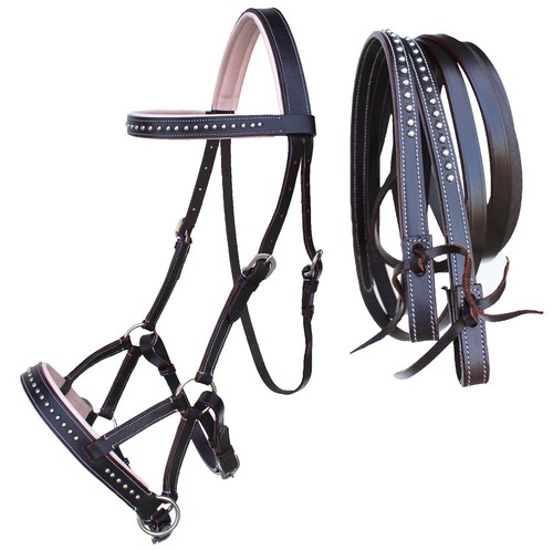 Horse western - horse,
