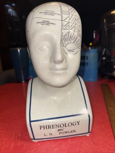 Vintage phrenology head - phrenology,