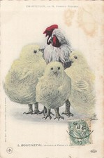 CP CHANTECLER EDMOND ROSTAND - BOUCHETAL VIEILLE HEN - STACHEE - 64846