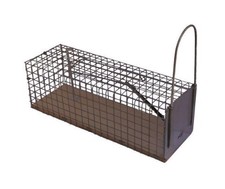 Nasse à rat socle bois