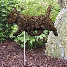 Cairn Terrier Extérieur