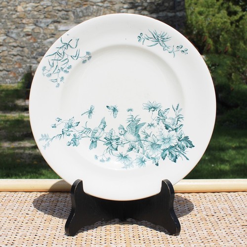Ancienne assiette plate - , 23.7