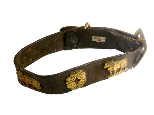 Beau collier cuir chien - en,