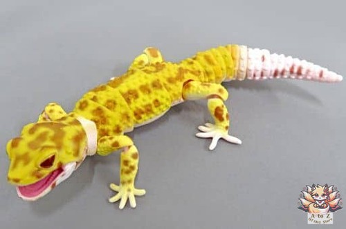 Mini figurine raptor - raptor, creature