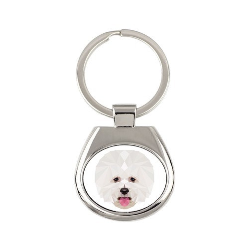 Bichon frisé chien de - frisé,,