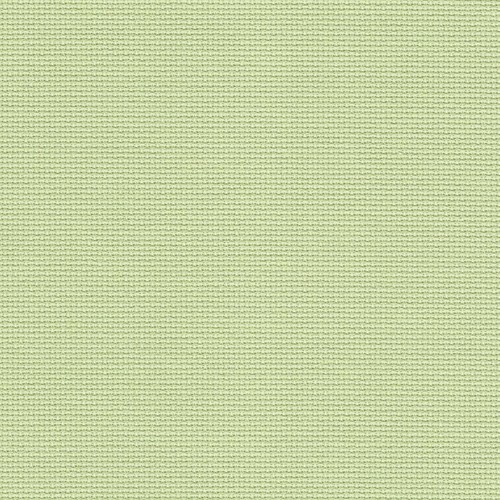 Mimosa vert sauge 20 - mimosa, (6083)