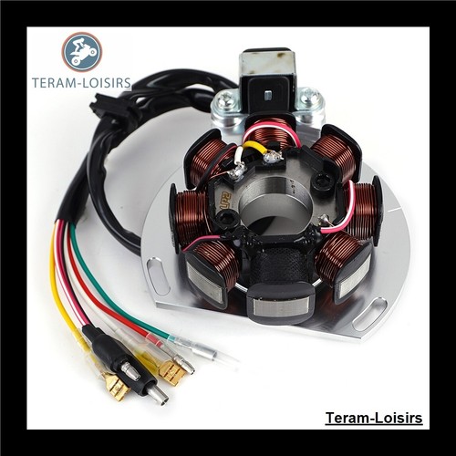 Stator allumage pour gas - stator,