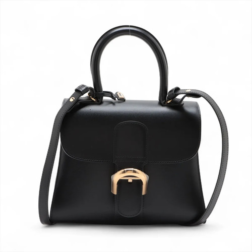 Delvaux brillon leather 2 - pm,