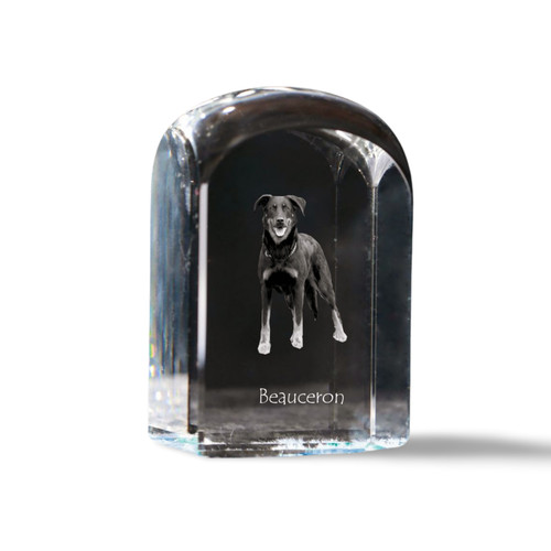 Berger beauce beauceron - de,