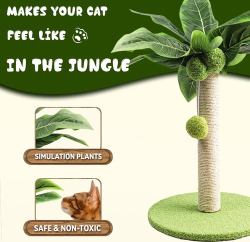 Arbre chat palmier - palmier, tendance