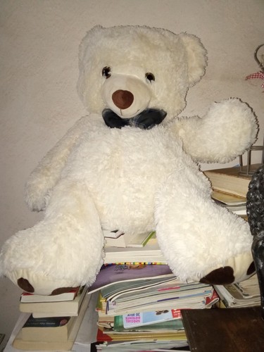 Vends grande peluche - peluche, ours
