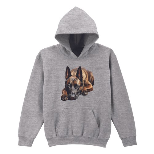 Belgian malinois sleeping dog - malinois,