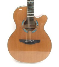 Takamine LTD2023 SANTA FE 2023 Acousitc Guitar