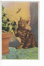 ILLUSTRATION  CHATS CHATONS