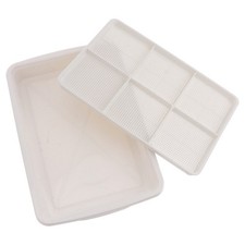  Panier Hydroponique Plateau