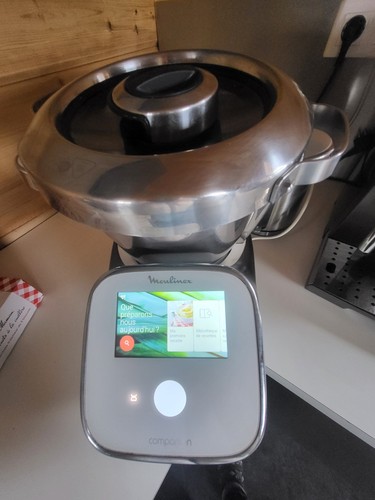 Companion moulinex - companion,