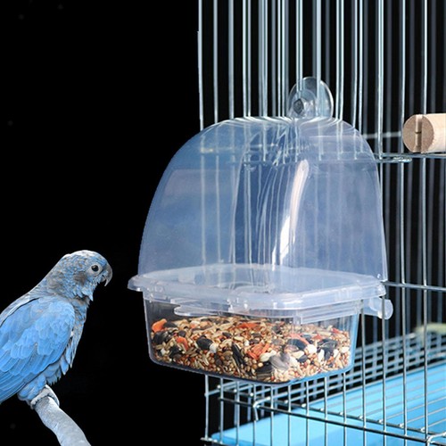 Mess mangeoire oiseaux - no-mess, à