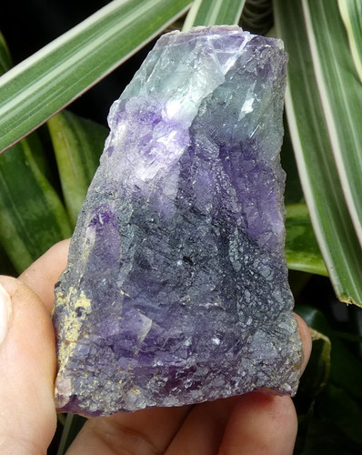 Fluorite zonée violette - , et
