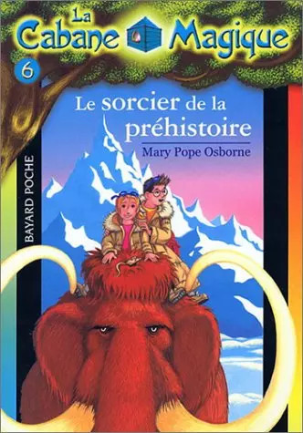 Cabane magique numéro 6 - magique,,