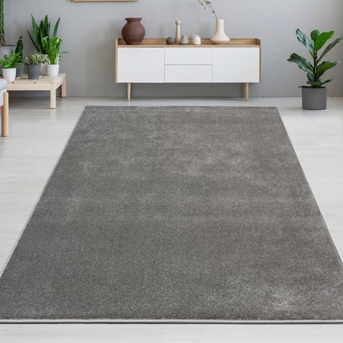 Tapis anthracite clair moderne