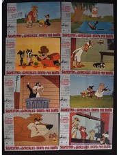 Sylvester Fotobusta Et