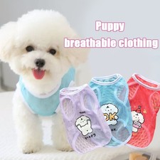 Chiot Chat Cool Vêtements