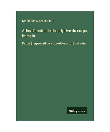 Atlas anatomie descriptive - atlas, d'anatomie