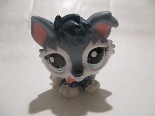 Petshop chiot husky 2036 - chiot, n°2036