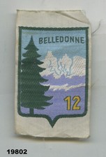 Fabric badge, Chantier de la Jeunesse Française 12 / Gpe. de Direction
