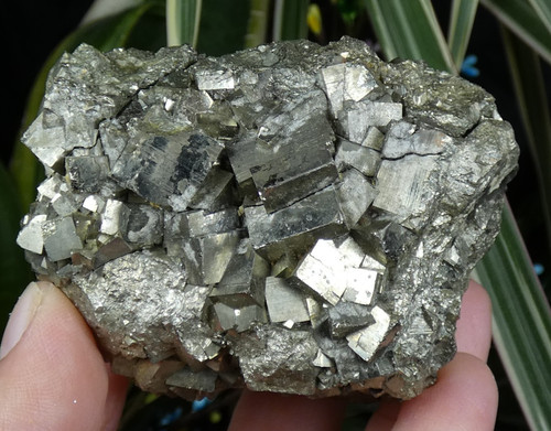 Pyrite cubes 7x6 5cm - pyrite,