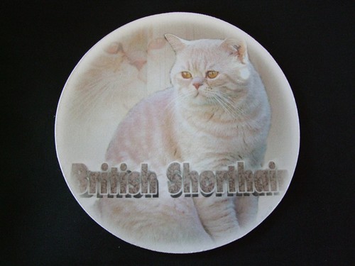 Tapis souris motif - tapis, chat