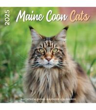 CALENDRIER MAINE COON 2025