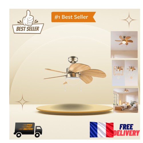 Ventilateur plafond cm - ventilateur,