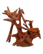 aquavie racine mangrove