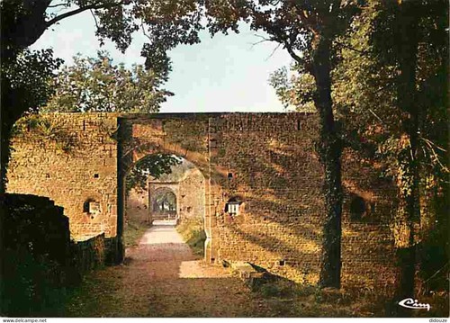 Carte postale pirou - carte, 50